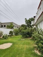 View of a green lawn with trees and buildings under an overcast sky in an outdoor setting during the day photo