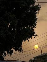 Golden hour sunset with tree silhouette and power lines beautiful landscape photography scenic view 100 characters photo