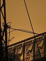 Golden hour sunset view over decorative railing with power lines and foliage silhouette scene capture photo