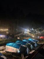 a camp in the middle of a pine forest near a river at night photo