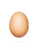 Chicken Egg on white background photo