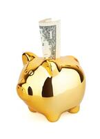 Piggy Money Box with dollars on white back photo