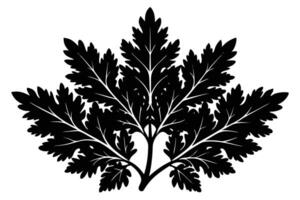 Elegant Black Silhouette of a Sprig of Fern Leaves, Isolated on White Background, Botanical Illustration, Dark and Moody Aesthetic vector