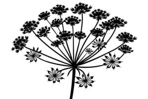 Elegant Black and White Silhouette of a Wildflower, Blooming in a Serene Garden Setting, Evoking a Sense of Calm and Tranquility vector