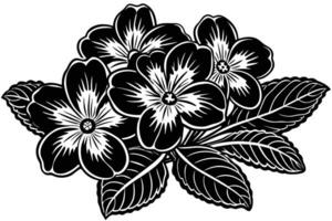Dramatic Black and White Primula Flowers in Full Bloom, Elegant Botanical Illustration, Vintage Style - Professional digital artwork with vibrant colors and detailed composition vector