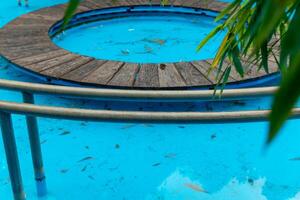 Wooden deck surrounds tranquil circular pool reflecting clear blue sky, inviting moments of relaxation amidst nature's embrace photo