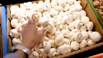 A hand selects white button mushrooms from a supermarket display under bright lighting. The setting is Gold Coast, Australia video
