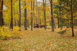 A red tractor is driving in the autumn park. High quality photo