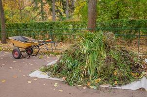 cleaning grass and leaves in the park, putting a shovel into a cart. High quality photo