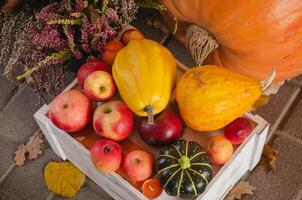 In the box there is a harvest of apples, pumpkins, zucchini, the concept of an autumn harvest. High quality photo