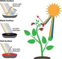 Light reflection on white, black, red surfaces vector