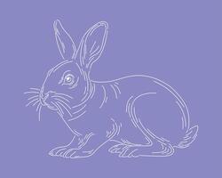 Rabbit bunny outline clip art animal illustration easter element isolated editable vector