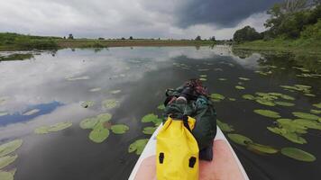 A kayak on a lake with water lillies video