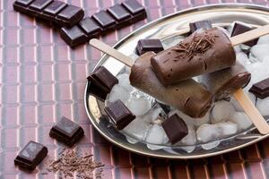 Melted chocolate ice cream sits on a silver plate surrounded by ice and chunks of chocolate. photo