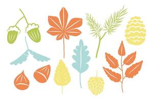 Autumn set with acorn, maple oak leaves, linden, pinecone, forest plant seeds. Autumnal clip art in sketch style for design, sign, icon, logo, card. Textured botanical isolated illustration vector