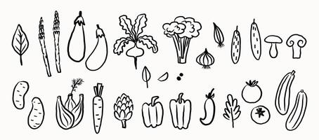 Vegetables sketch illustration on isolated background. Set with nutrition, food, carrot, cabbage, tomato, mushroom, potato, radish, onion, garlic, pepper, paprika, cucumber, greens, eggplant vector