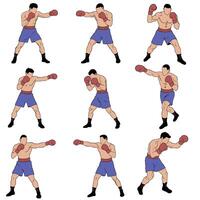 Boxing poses for training and illustration vector