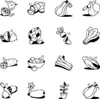WebSet of Leafy Vegetables Sketchy Icons vector