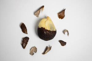 Peeled snake fruit Salak with scattered scales. photo