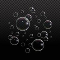 Transparent bubbles floating in the air vector