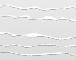 Torn paper texture with rough ripped borders on clear background. Perfect overlay element for print design and digital mockups. vector