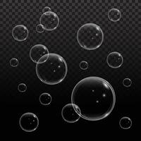 floating transparent bubbles vector