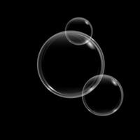Soap bubble with rainbow reflection on black background. foam bubble, great design for any purposes vector