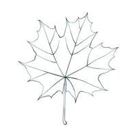 Hand-drawn maple leaf sketch picture isolated on white background. Line style illustration. vector
