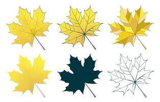 Hand-drawn gold autumn colored maple leaves collection isolated on white background. Flat and line style illustration. vector