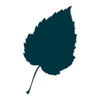 Hand-drawn maple leaf silhouette on white background. Flat style illustration. vector