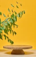 Wooden round stand podium or pedestal on a light wooden table, in the background of which is a branch of a green tree with leaves. photo