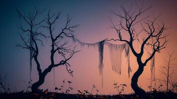 Atmospheric halloween background with silhouettes of trees without leaves and spider web drape against gradient sky at dusk, empty space. . photo