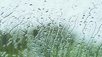 Raindrops on window with blurred background video