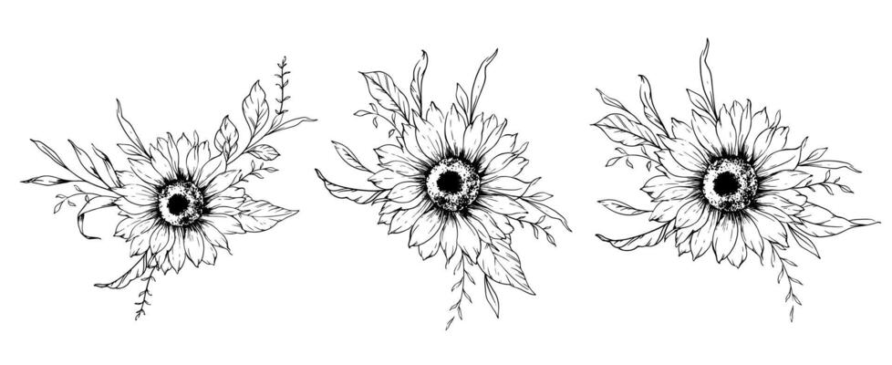 Sunflower Line Drawing. Outline Sunflowers illustration. Hand Drawn Sunflowers Silhouette. Monochrome Floral Line Art. Botanical Coloring.