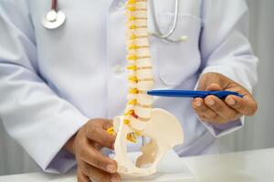 doctor holding spinal nerve and bone model, Lumbar spine displaced herniated disc fragment for treatment medical in the orthopedic photo