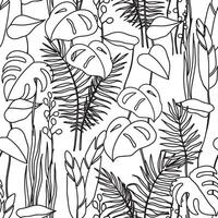 Seamless pattern of tropical forest leaves. Line art illustration. Monstera, fern, eucalyptus vector