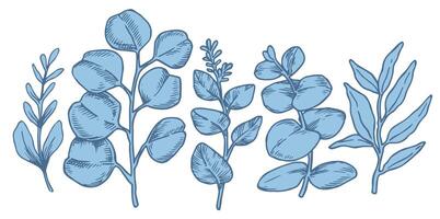 Blue illustrated leaves for design vector