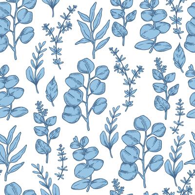Seamless pattern of tropical blue forest eucalyptus leaves. Illustration in sketch style.