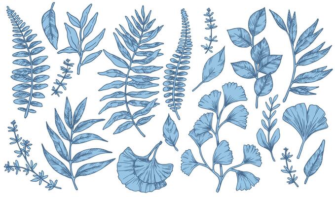 Set of blue tropical forest leaves. Sketch style illustration.