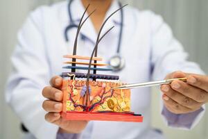 Hair transplant dermatologist doctor holding skin photo