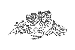 Set Line art botanical different vegetables isolated on white background. Hand drawn cartoon outline veggies with Cabbage Carrot Peas Pepper Onion Tomato illustration. Graphic design elements vector