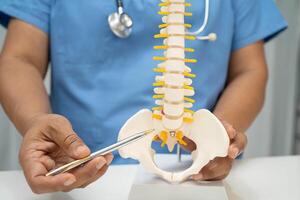 Asian doctor holding spinal nerve and bone model, Lumbar spine displaced herniated disc fragment for treatment medical in the orthopedic department. photo
