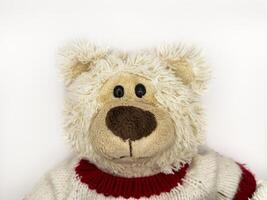 A stuffed teddy bear with a red and white striped sweater on a white background, flay lay, top view photo