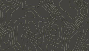 Topographic Contour Map Background in Minimal Abstract Style vector