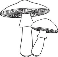 Wild boletus mushroom outline artwork for nature themes vector