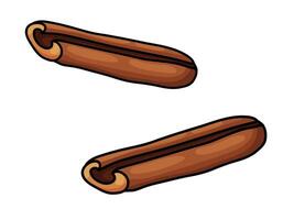Two Cinnamon Sticks Hand Drawn Doodle vector