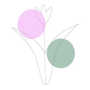 Delicate tulip with soft background circles in light tones. vector