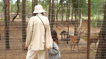 A man and a child standing in front of a fence video