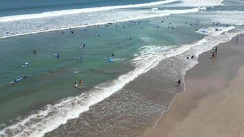 Aerial view of surf lessons with surfers paddling and riding small waves near the shore in Bali, Indonesia. video