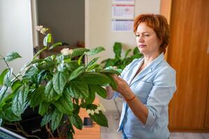 Woman caring for potted plants on her desk during a work break in the office. Slow work, mindful routine, and nature as a source of balance. High quality photo